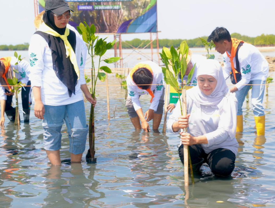 Jaga Keseimbangan Alam, Gubernur Khofifah Tanam 22.500 Bibit Mangrove di Sumenep