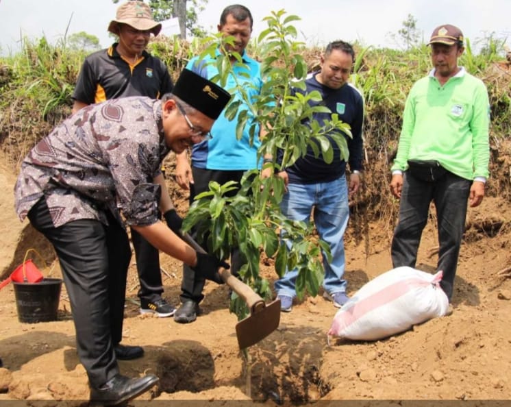 Pemkab Pasuruan Launching Penanaman Bibit Pohon Di Kawasan Konservasi