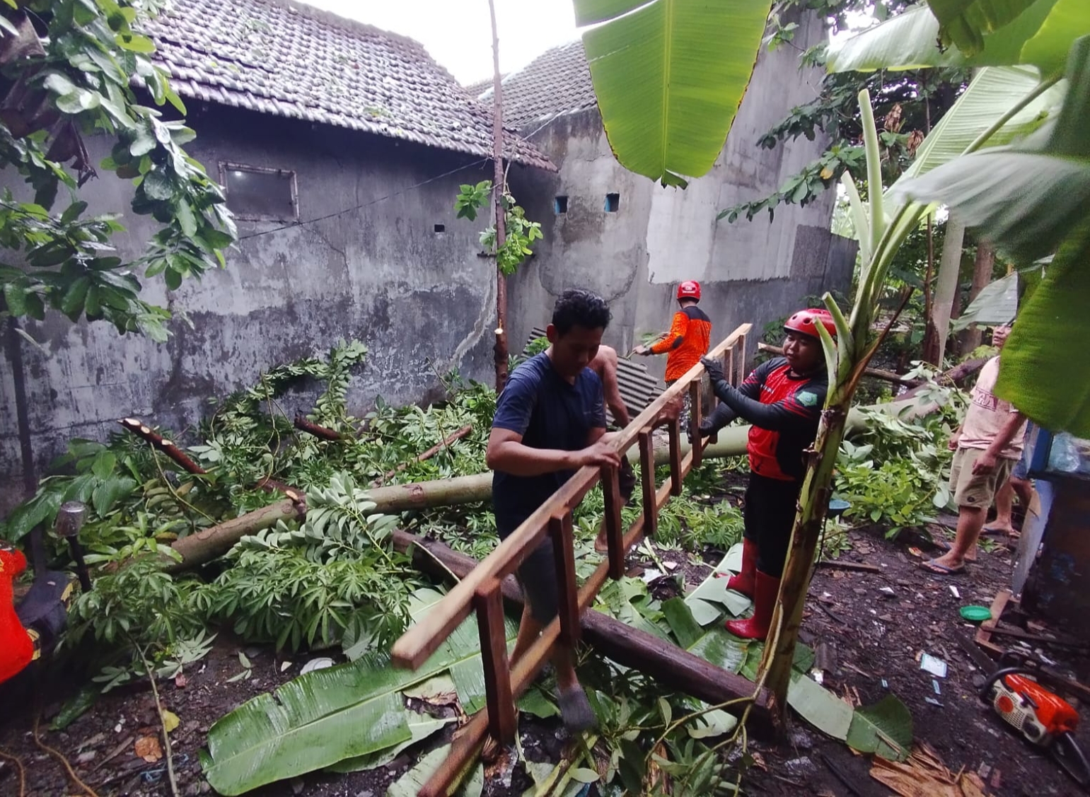 Call Center 112 Sidoarjo Siaga 24 Jam Panggilan Darurat Waspada Pohon Tumbang