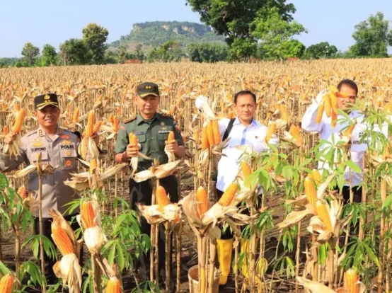 Dukung Produksi Pangan, Satgas Pangan Polri Dampingi Dirjen Tanaman Pangan Kementan Panen di Tuban