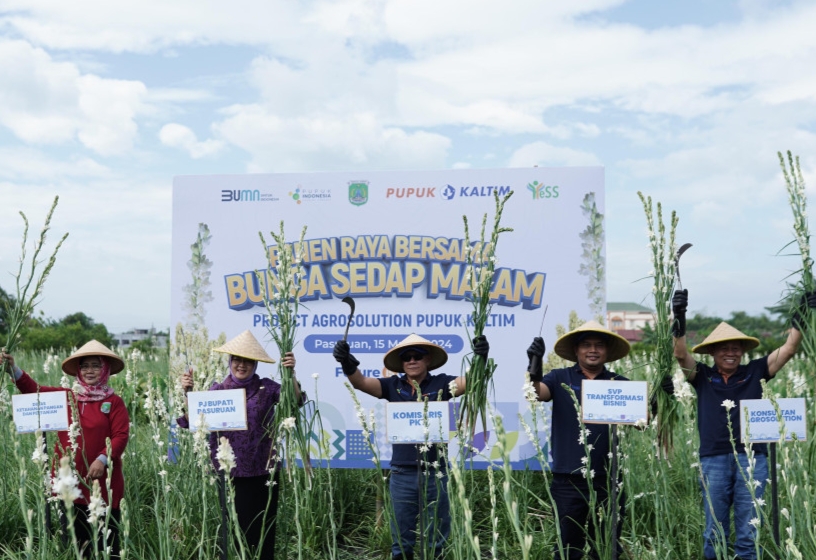 Program Agrosolution Pupuk Kaltim, Naikkan Produktivitas Petani Sedap Malam Kabupaten Pasuruan