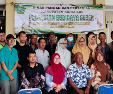 Pemkab Sidoarjo Latih Budidaya Bebek Pedaging dan Beri Anakan Bebek Pedaging Peking Gratis Kepada Gapoktan