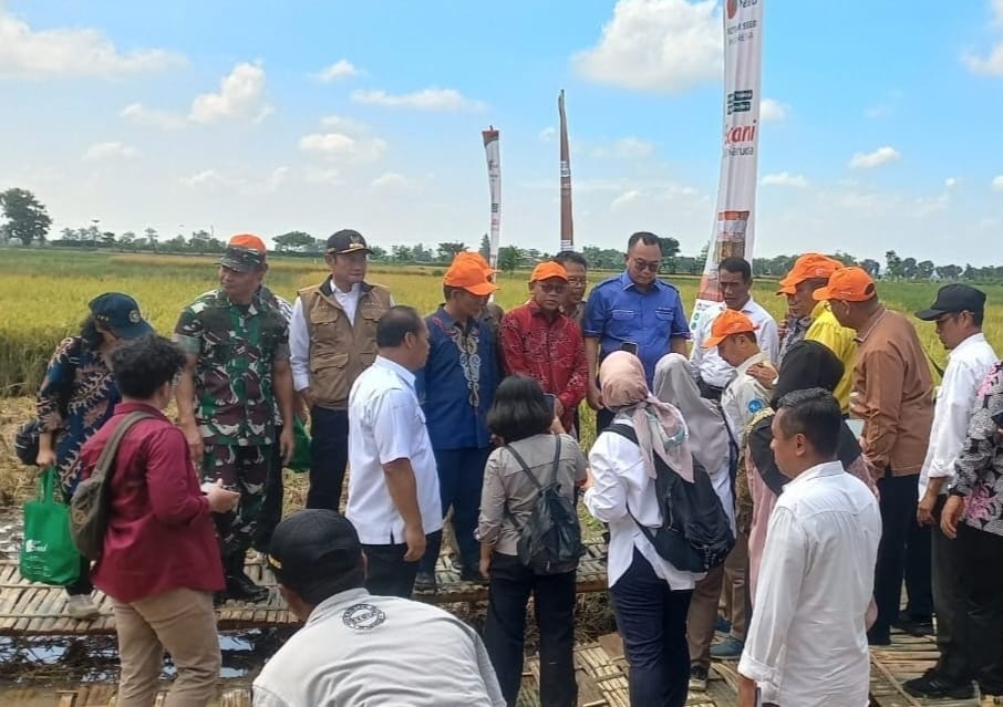 Mentan RI Andi Amran Sulaiman Kunjungi Lamongan, Tinjau Pompanisasi dan Panen Padi