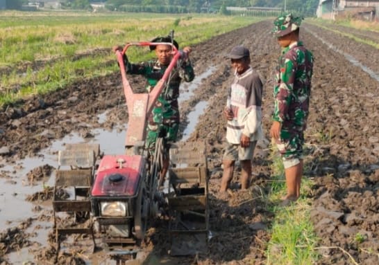 Satgas TMMD ke-120 Kodim 0816/Sidoarjo Berikan Pendampingan Teknis Petani Desa Penambangan untuk Ketahanan Pangan