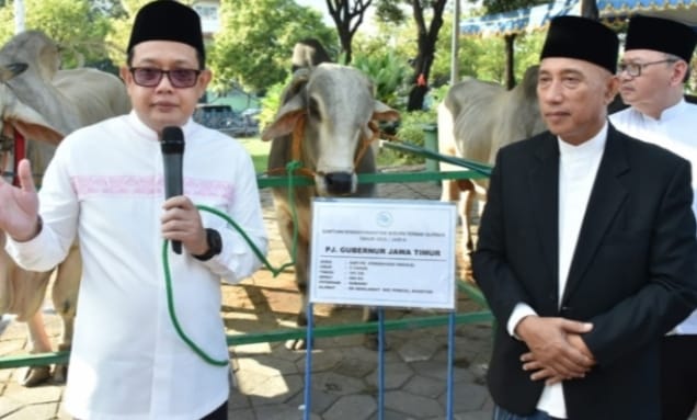 Pj. Gubernur Jatim Serahkan Hewan Kurban ke Masjid Al Akbar Surabaya