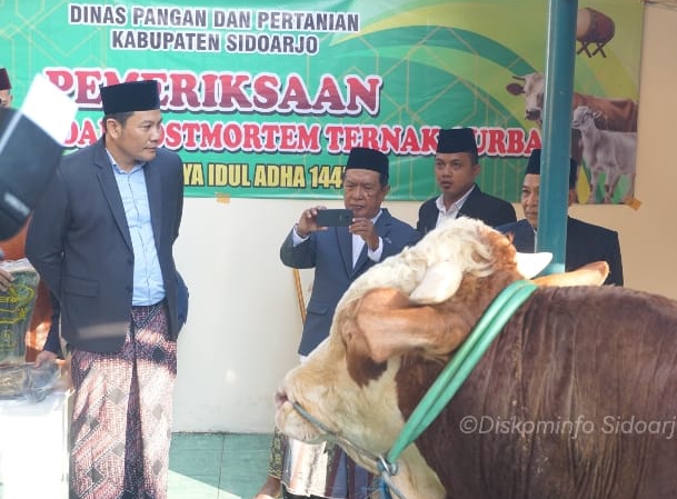 Plt. Bupati Sidoarjo H. Subandi Serahkan Sapi Kurban ke Takmir Masjid Agung Sidoarjo