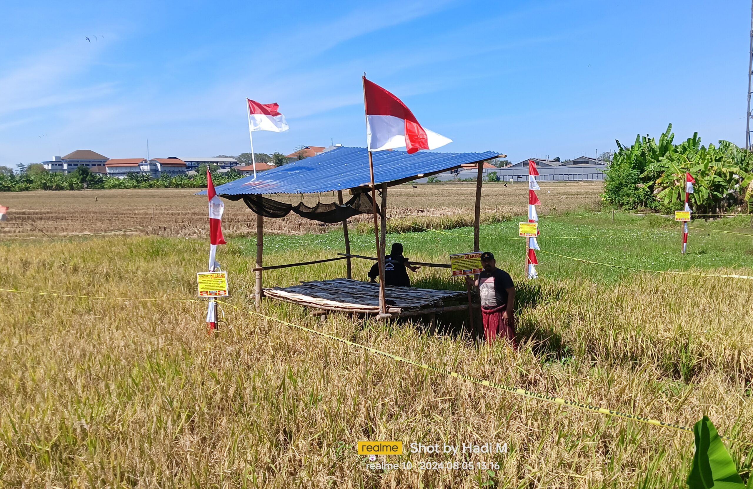 Ahli Waris Giman Bangun Gubuk dan Pasang Garis Police line di Lahan Sawah Miliknya