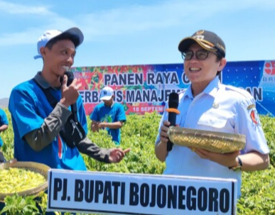 Panen raya cabai berbasis manajemen kawasan digelar Pemerintah Kabupaten Bojonegoro.